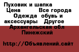 Пуховик и шапка  Adidas  › Цена ­ 100 - Все города Одежда, обувь и аксессуары » Другое   . Архангельская обл.,Пинежский 